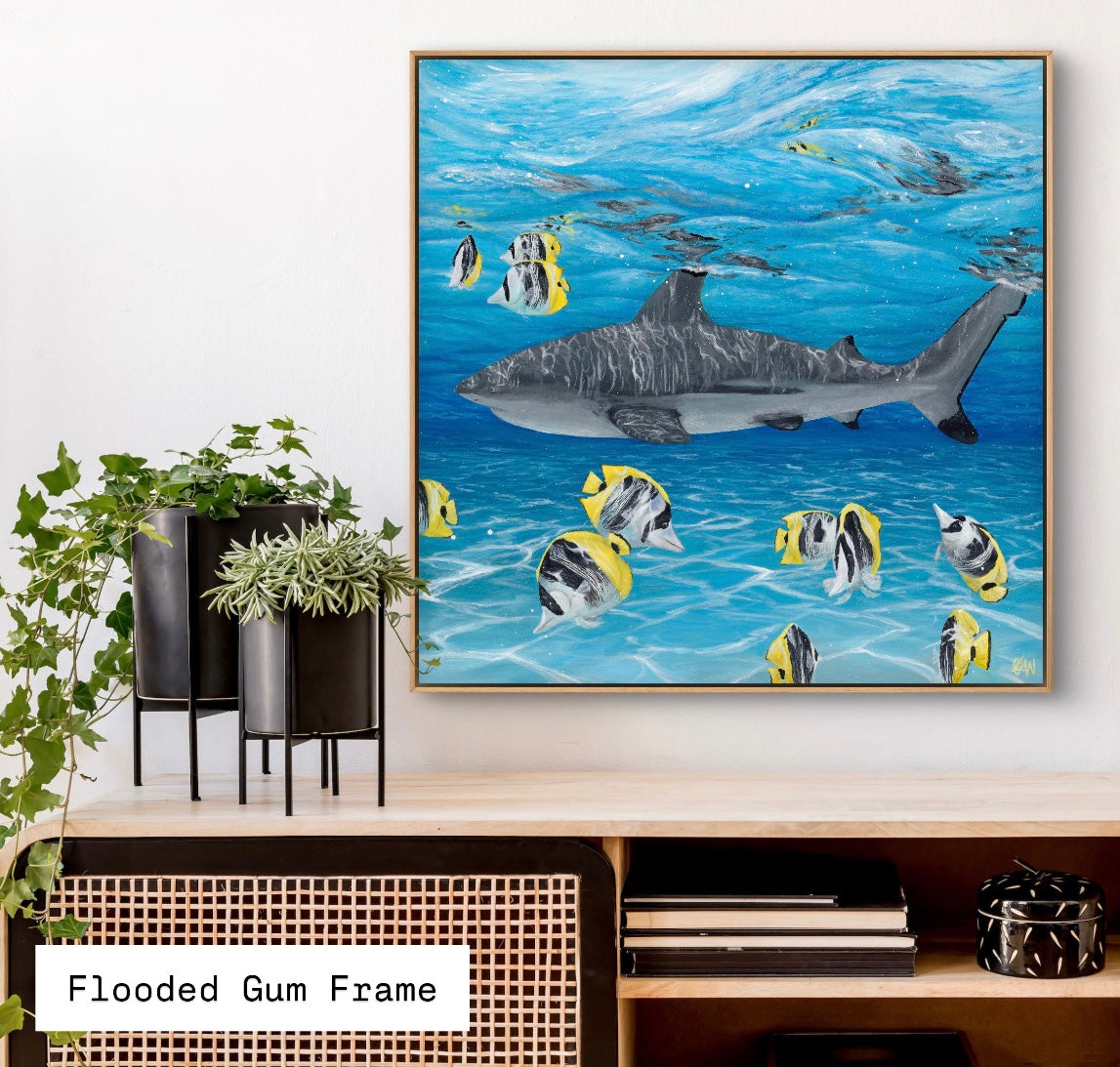Clear Views - Print