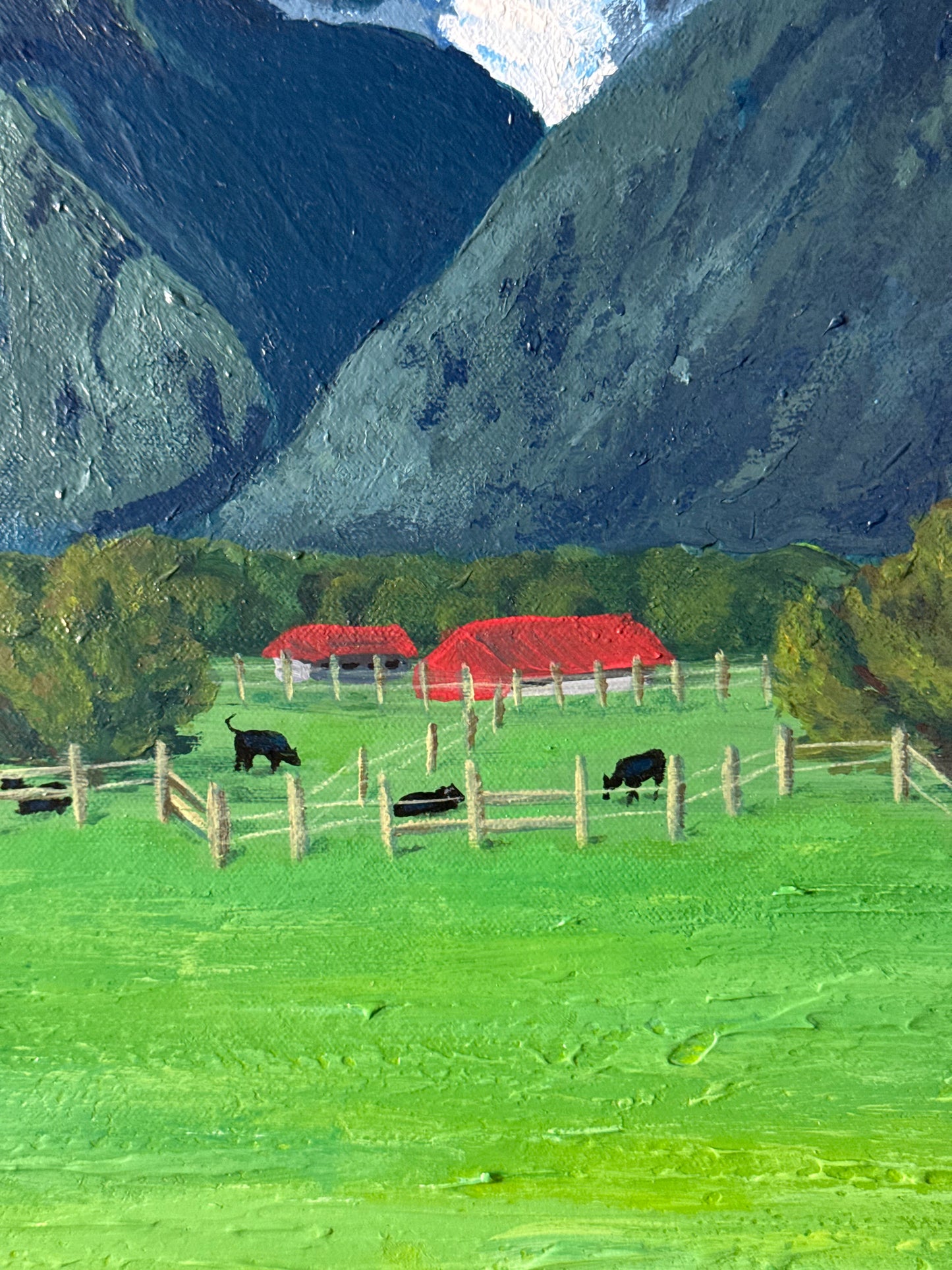 Fox Glacier