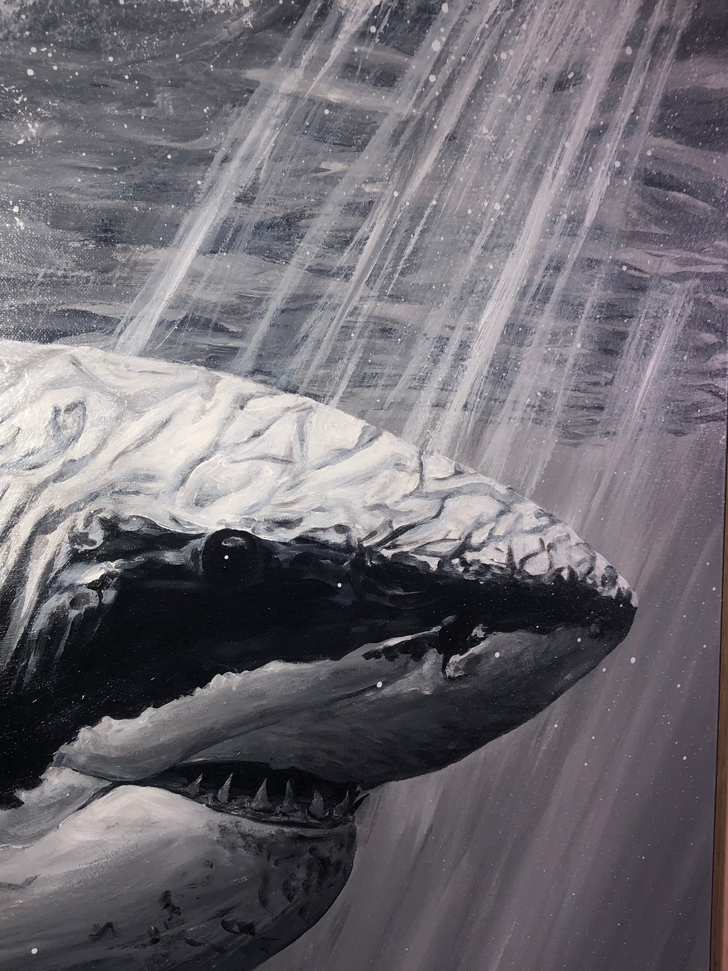 SOLD - Great White Highlights