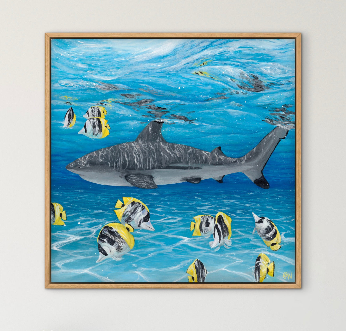 Clear Views - Temporarily Unavailable