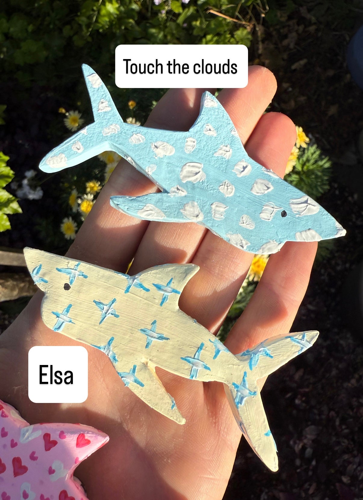Shark Magnet