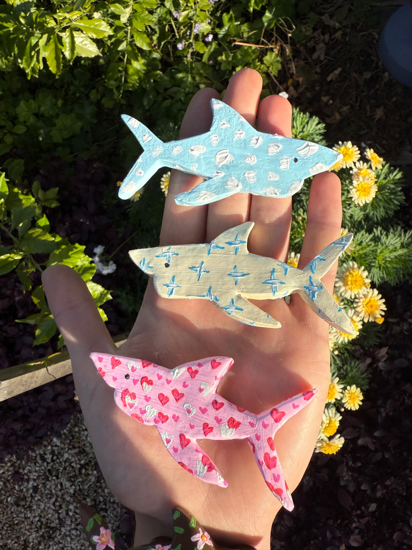 Shark Magnet