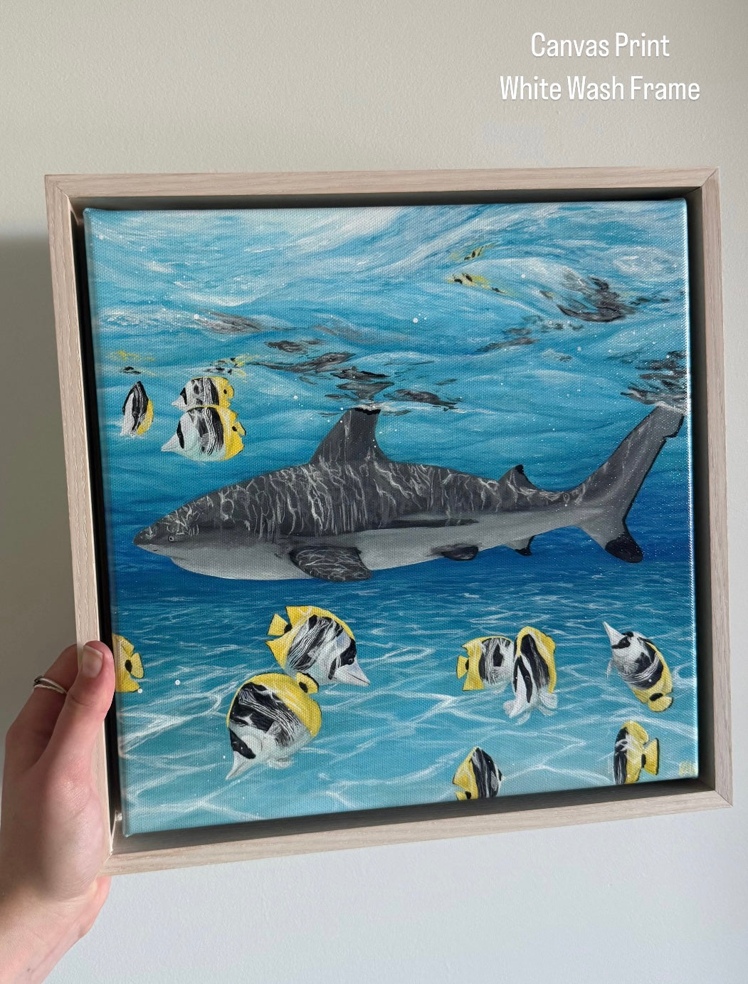 Clear Views - Print